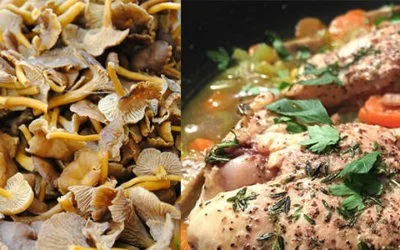 Guinette de poulet Saint Server