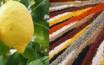 Gigot d&rsquo;agneau de lait farci puis rôti aux épices