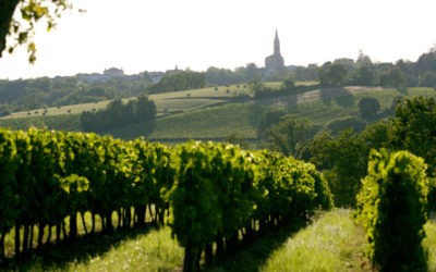 Partez à la découverte des coteaux de Bordeaux…