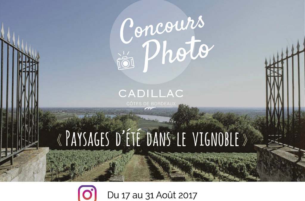 Jeu concours Instagram Paysages d&rsquo;été dans le vignoble