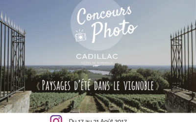 Jeu concours Instagram Paysages d&rsquo;été dans le vignoble