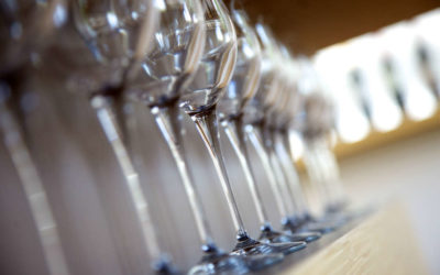 Comment choisir la bonne forme de verre à vin ?