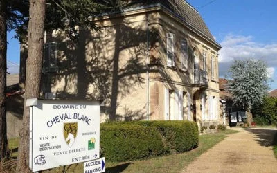 A la découverte du Domaine Cheval Blanc
