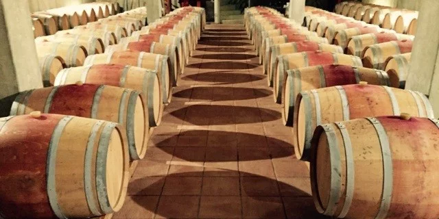 plaisir,château,melin