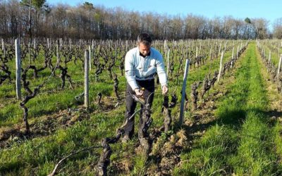 Bien-être et gourmandise au Château Haut Roc !