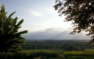 A la rencontre d’un terroir de grands hommes