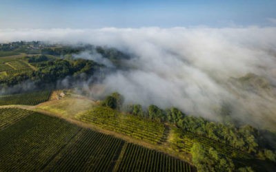AOC Côtes de Bordeaux