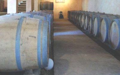 Portes ouvertes au Château Beneyt – 7 et 8 juin 2025