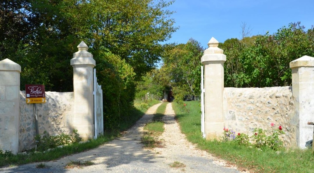 Expositions au Château Brethous