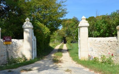 Expositions au Château Brethous