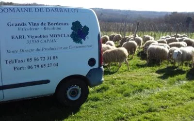 Domaine de Darbalot