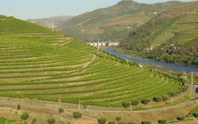 La Région viticole du Haut-Douro à l’UNESCO