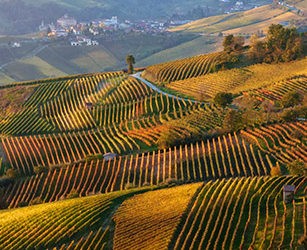 Paysage viticole du Piémont : Langhe-Roero et Monferrato