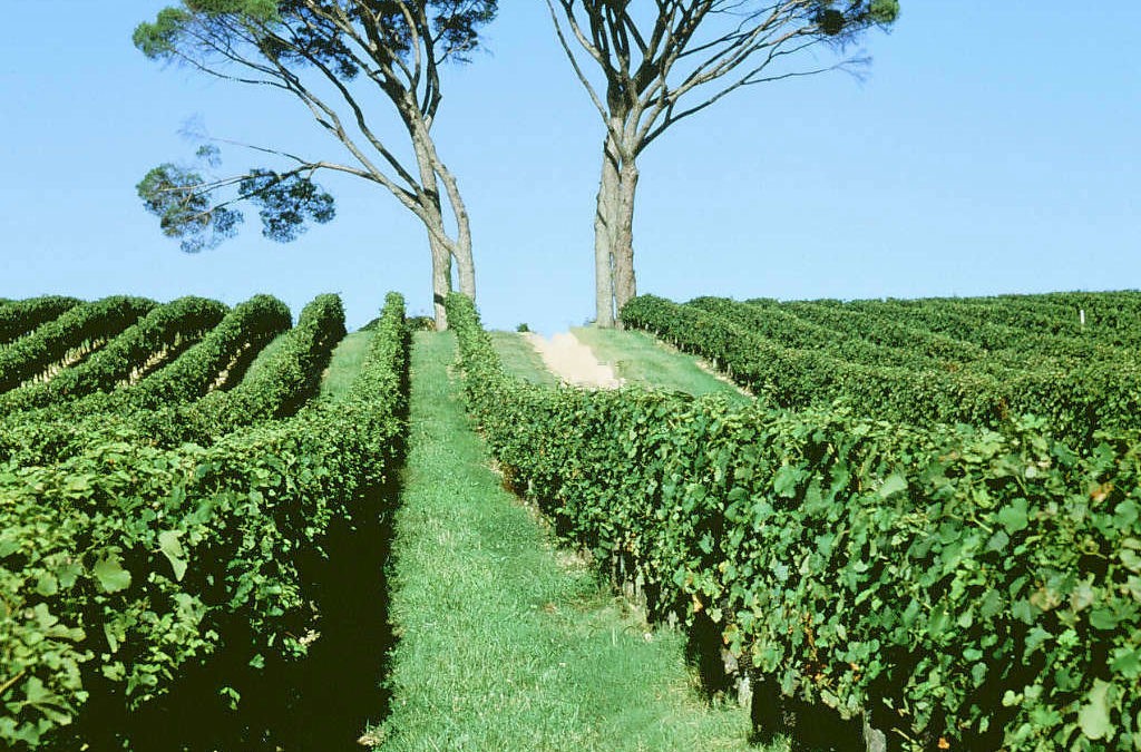 Paillet, Capian et Villenave-de-Rions, canton pittoresque