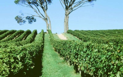 Paillet, Capian et Villenave-de-Rions, canton pittoresque