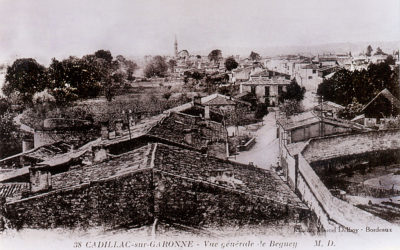 A travers le canton de Cadillac, Béguey