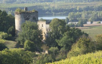Langoiran, village en Cadillac Côtes de Bordeaux