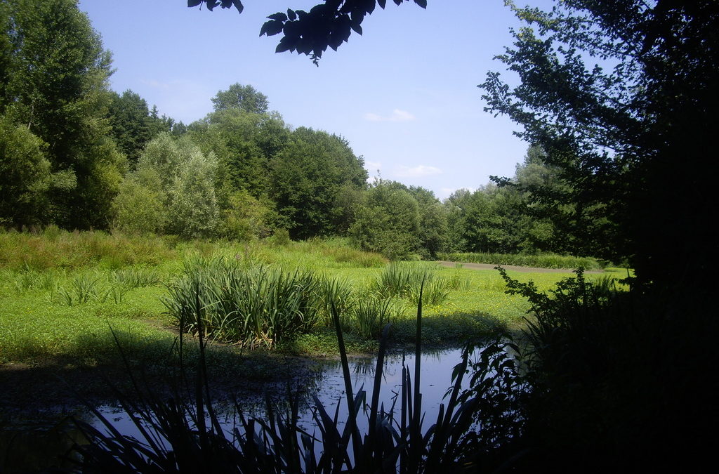 Laroque, village en Cadillac Côtes de Bordeaux