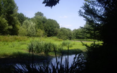Laroque, village en Cadillac Côtes de Bordeaux