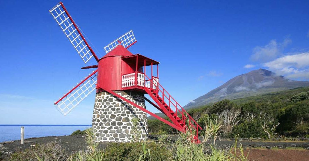 Paysage viticole de l’île du Pico