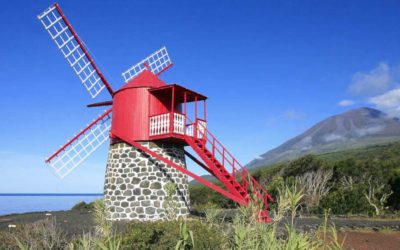 Paysage viticole de l’île du Pico