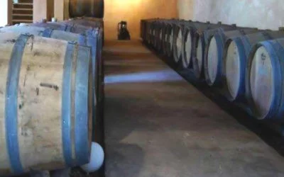Des initiations au Château Beneyt