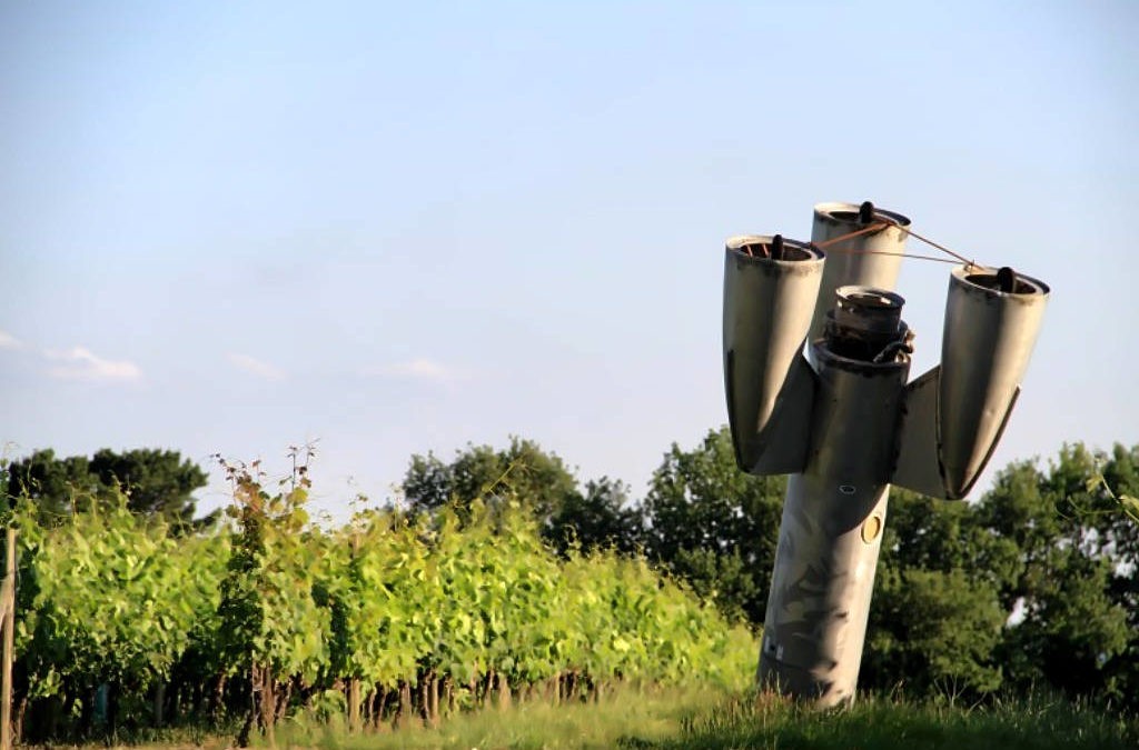Du plaisir au Château Melin