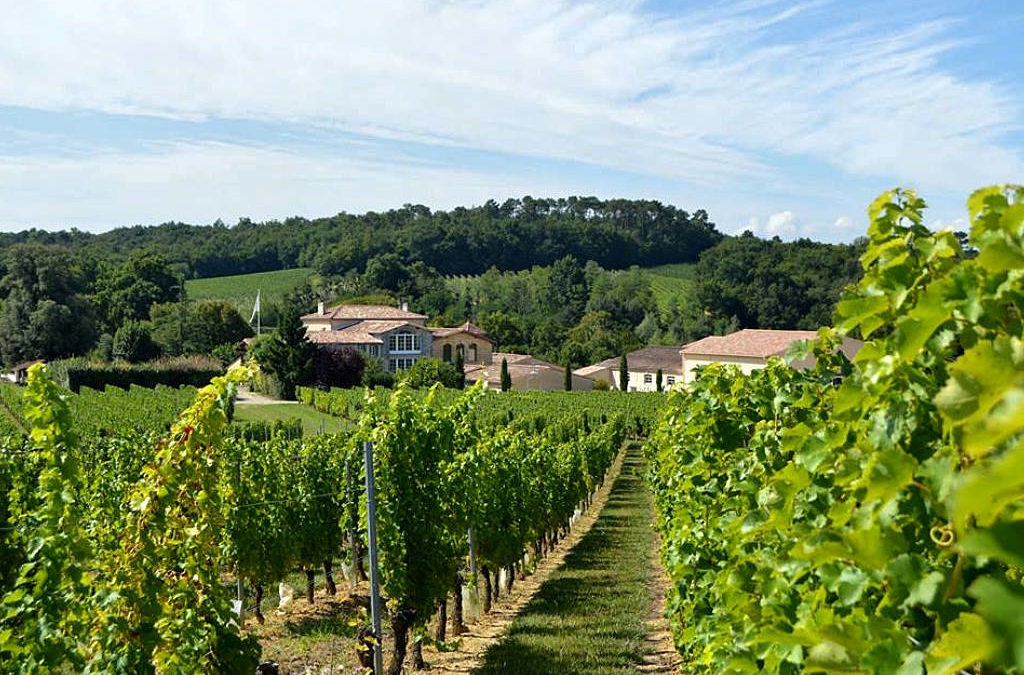 Bienvenue au Château de Potiron