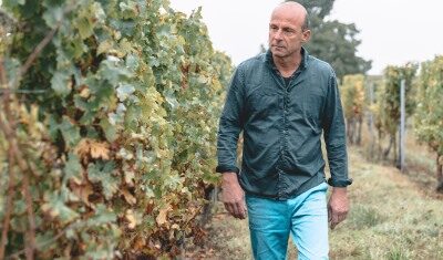 Vignobles Dubourg, Capian