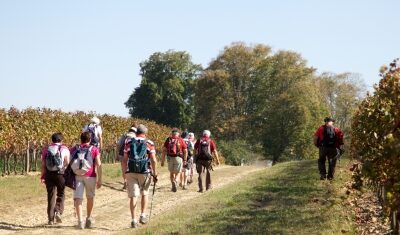 Que faire durant vos vacances ?