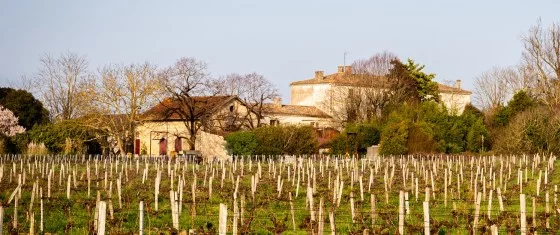 domaine_de_moulerin