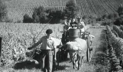 Pierre Vignes : Un bordelais dans la cité des anges