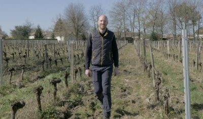 Vignobles Massé, Pompignac
