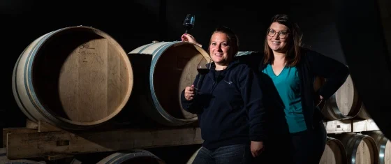 vignobles dulon cadillac